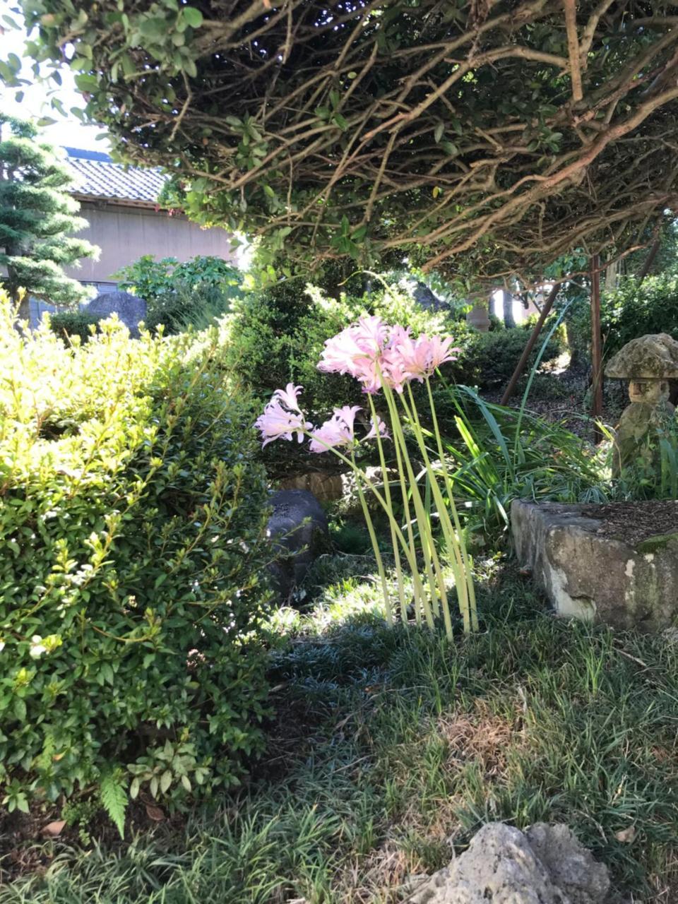 Kizuna No Ie Uozu Exteriér fotografie